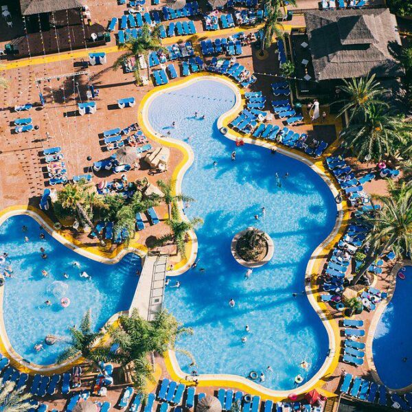 Flamingo Oasis