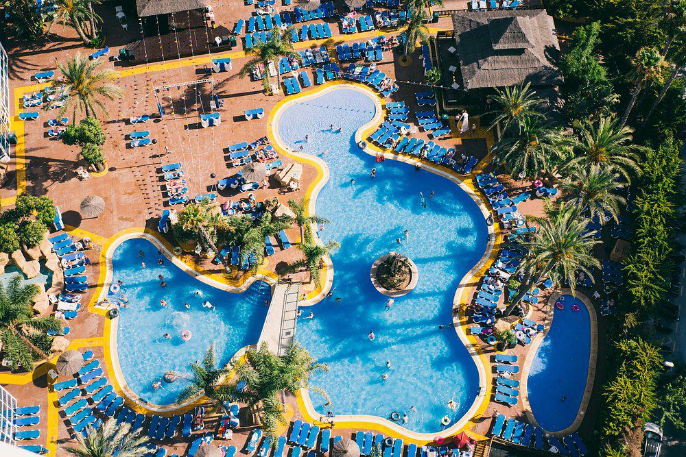 Flamingo Oasis