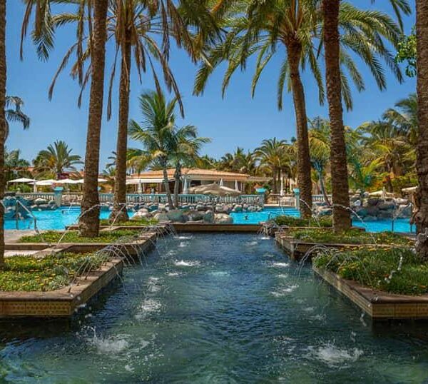 Palm Oasis