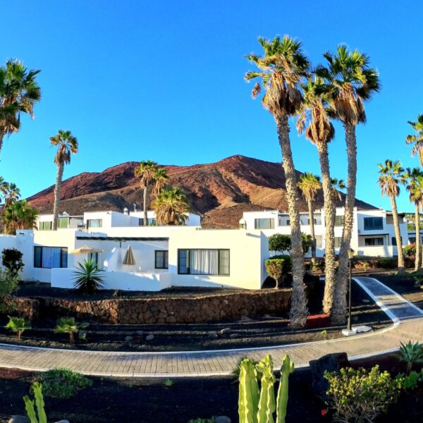 Palmeras Garden