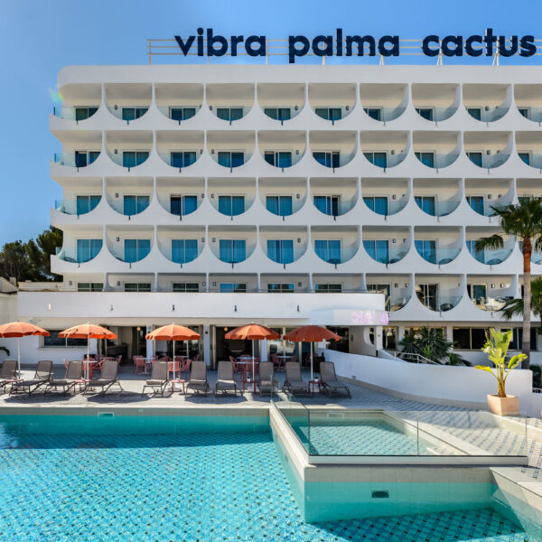 Vibra Palma Cactus